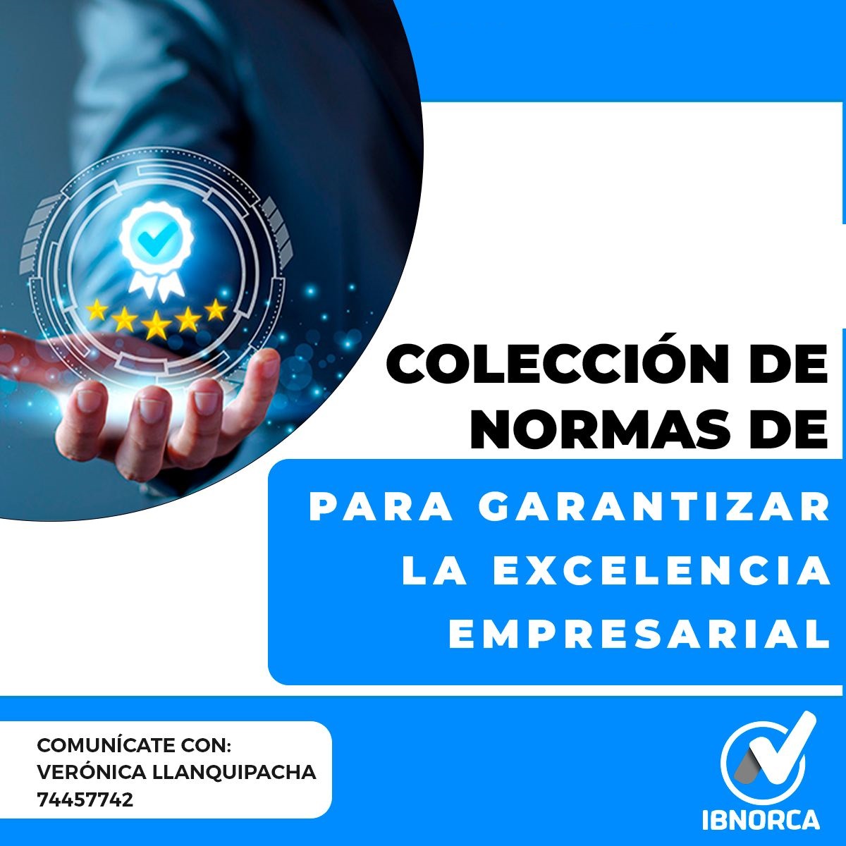 COLECCIÓN DE NORMAS PARA GARANTIZAR LA EXCELENCIA EMPRESARIAL - 25% de Descuento